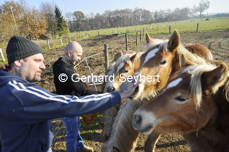 Ralf Seeger rettet Pferde