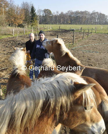 Ralf Seeger rettet Pferde