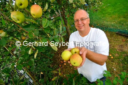 Apfel Veredelung Jrgen Wagenknecht