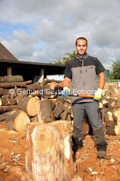 Wetten Brennholzverkauf luft an
