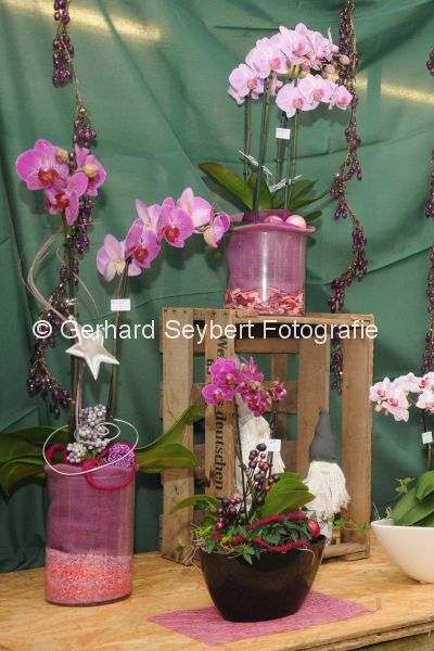 Orchideenausstellung